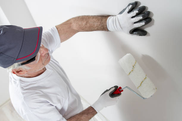 Best Air Quality Testing for Mold Spores  in Princess Anne, MD