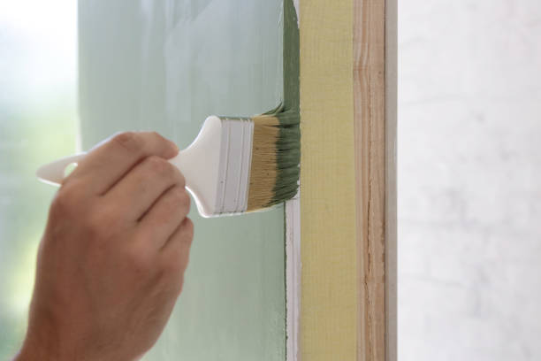 Best Basement Mold Removal  in Princess Anne, MD