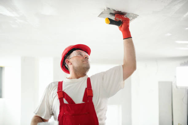 Best HVAC Mold Inspection and Cleaning  in Princess Anne, MD