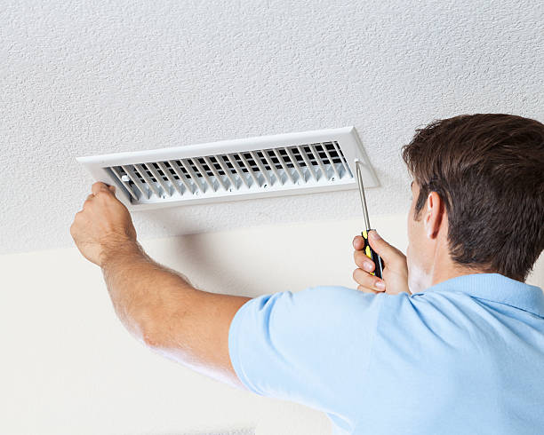 Best Real Estate Mold Inspection  in Princess Anne, MD
